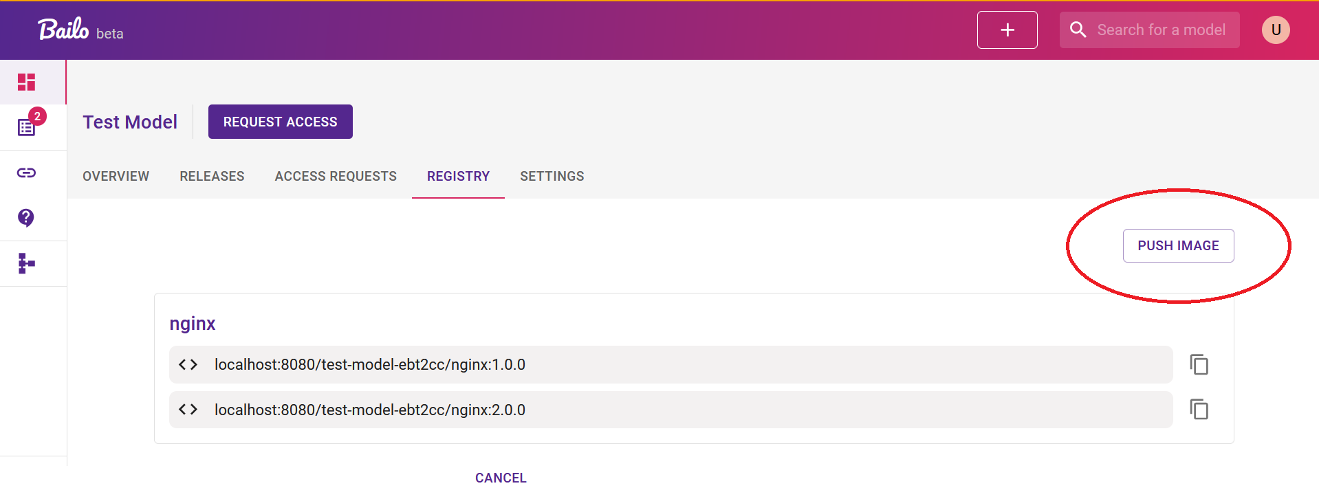 model registry tab with push image button circled