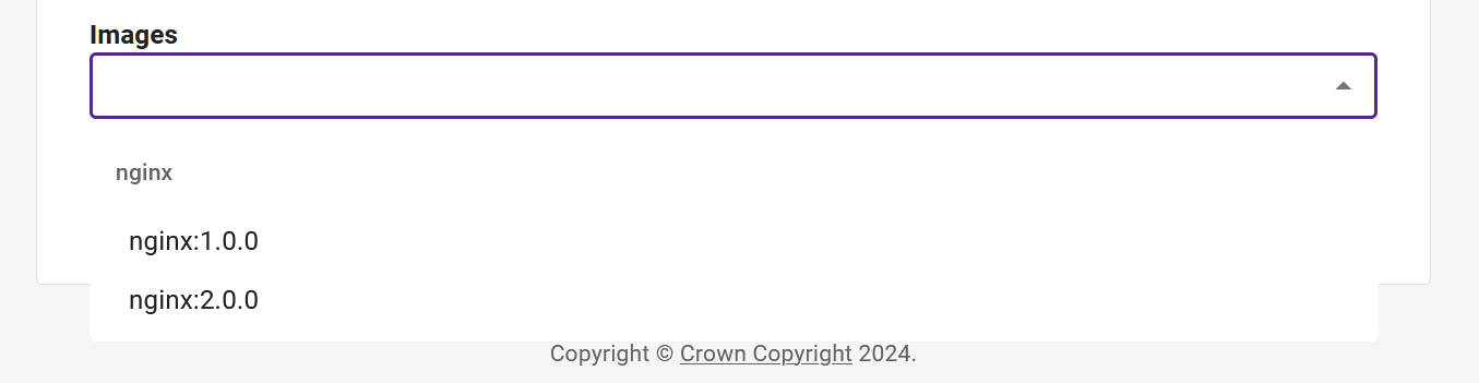 image dropdown displaying model-assigned images for use in a release
