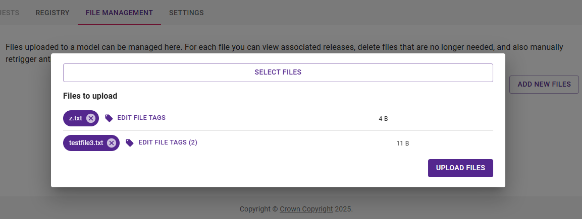 view of files being uploaded