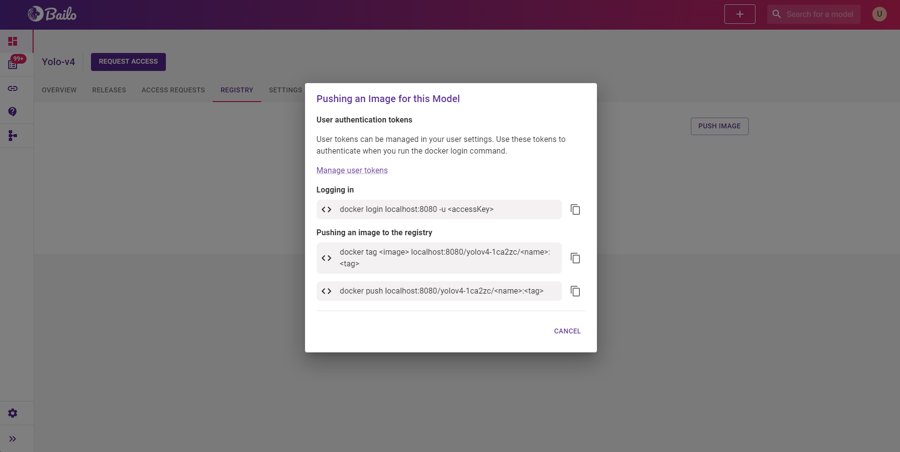 instructions on how to push image to model